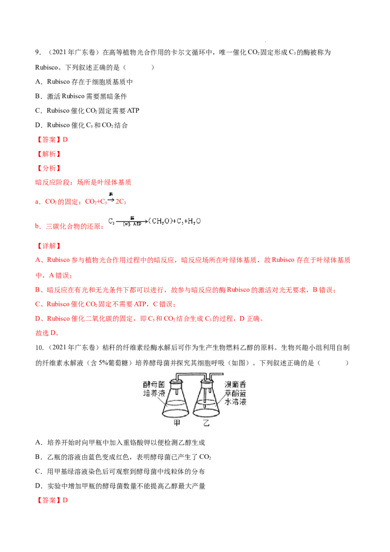 专题03光合作用和细胞呼吸-三年（2020-2022）高考真题生物分项汇编（全国通用）（解析版）_高考真题分类汇编(2012-2022)生物_高考真题分项汇编(2020-2022)生物