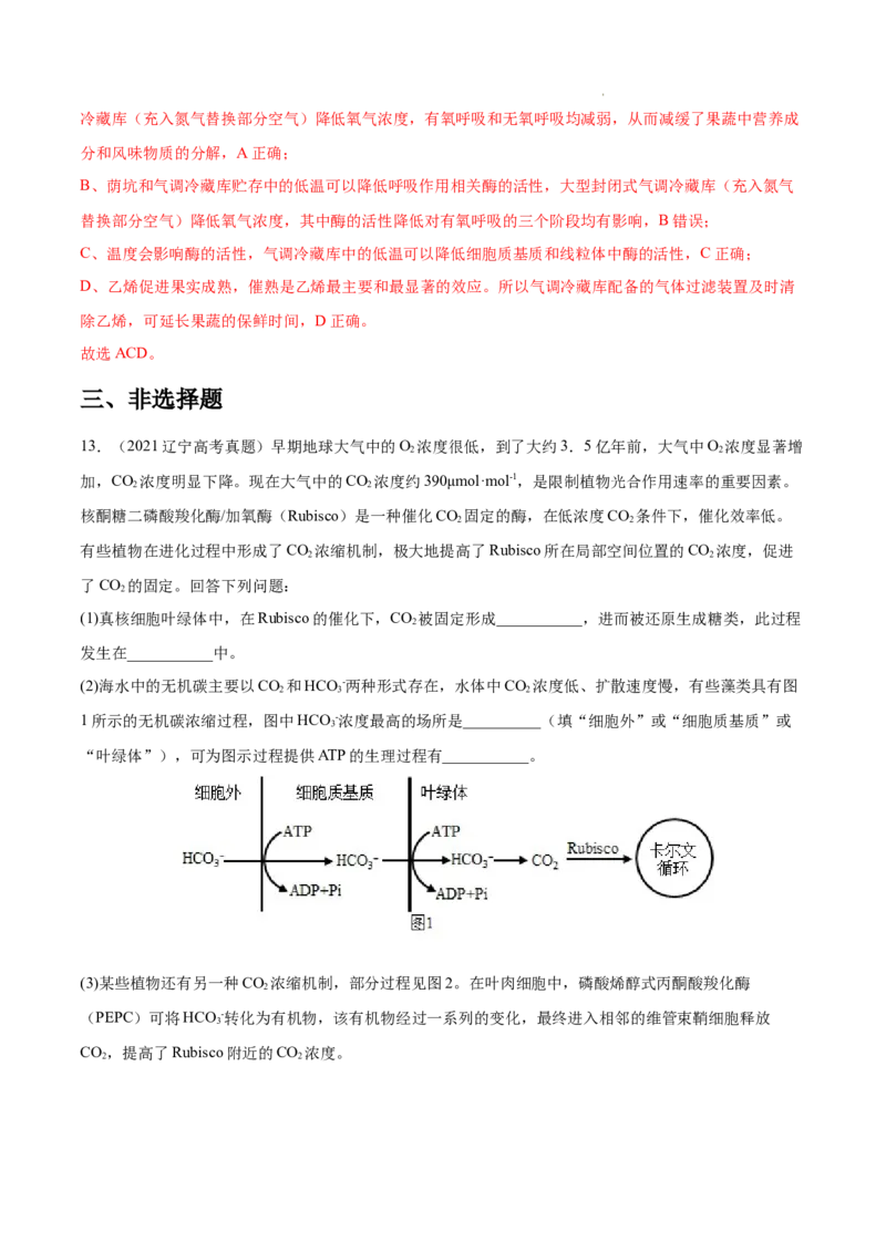 专题03光合作用和细胞呼吸-三年（2020-2022）高考真题生物分项汇编（全国通用）（解析版）_高考真题分类汇编(2012-2022)生物_高考真题分项汇编(2020-2022)生物