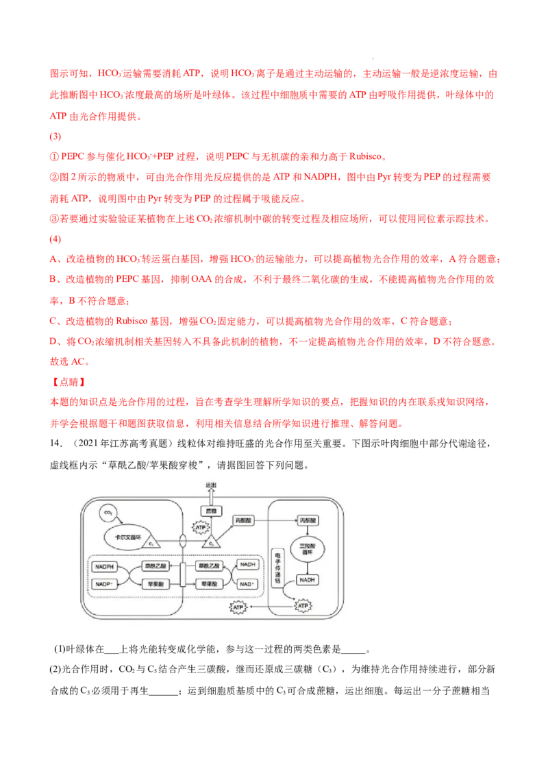 专题03光合作用和细胞呼吸-三年（2020-2022）高考真题生物分项汇编（全国通用）（解析版）_高考真题分类汇编(2012-2022)生物_高考真题分项汇编(2020-2022)生物