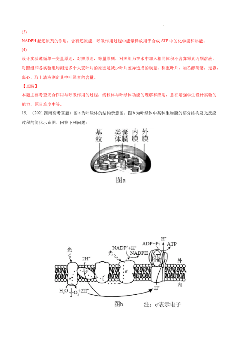 专题03光合作用和细胞呼吸-三年（2020-2022）高考真题生物分项汇编（全国通用）（解析版）_高考真题分类汇编(2012-2022)生物_高考真题分项汇编(2020-2022)生物