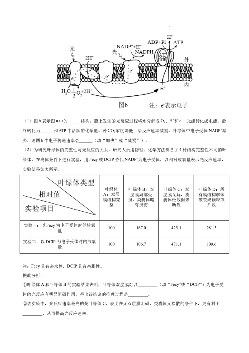 专题03光合作用和细胞呼吸-三年（2020-2022）高考真题生物分项汇编（全国通用）（解析版）_高考真题分类汇编(2012-2022)生物_高考真题分项汇编(2020-2022)生物