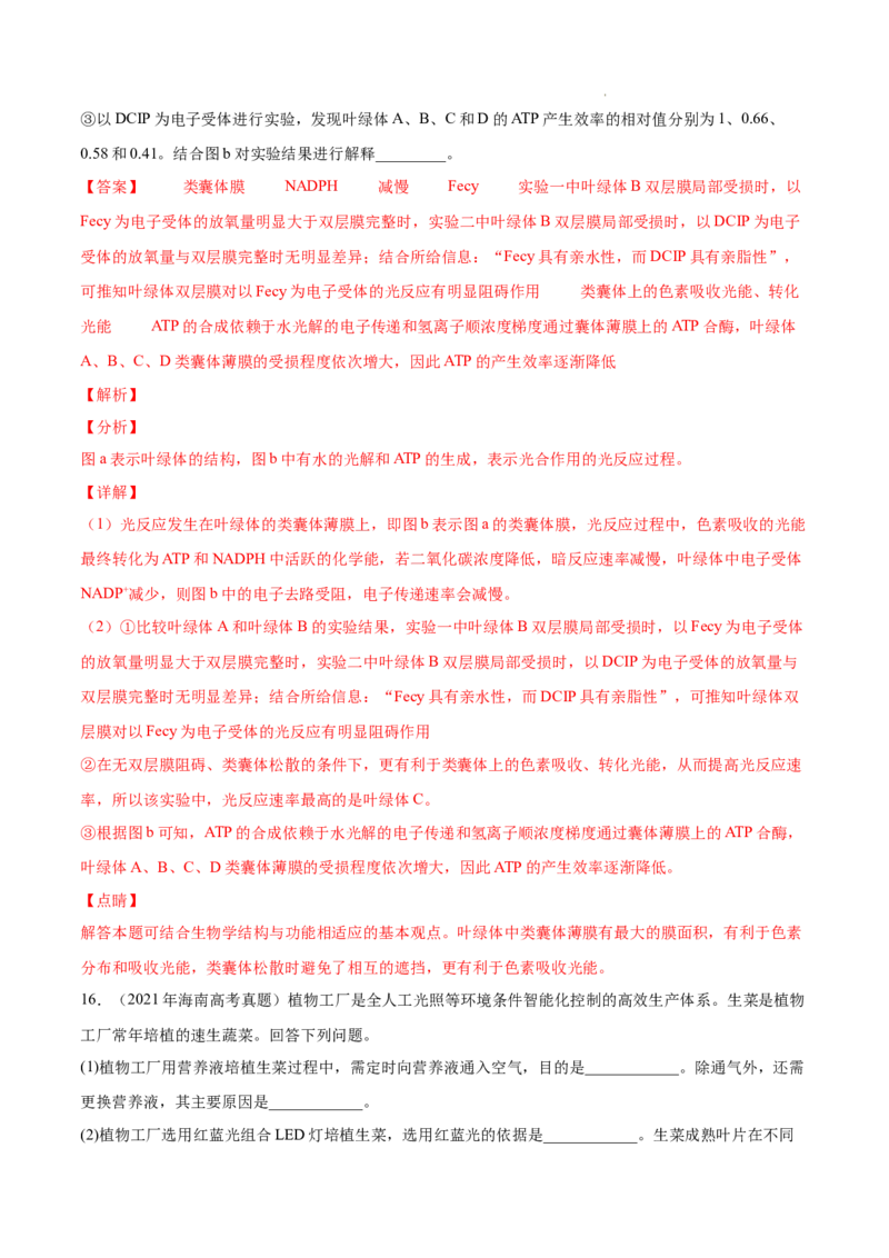 专题03光合作用和细胞呼吸-三年（2020-2022）高考真题生物分项汇编（全国通用）（解析版）_高考真题分类汇编(2012-2022)生物_高考真题分项汇编(2020-2022)生物