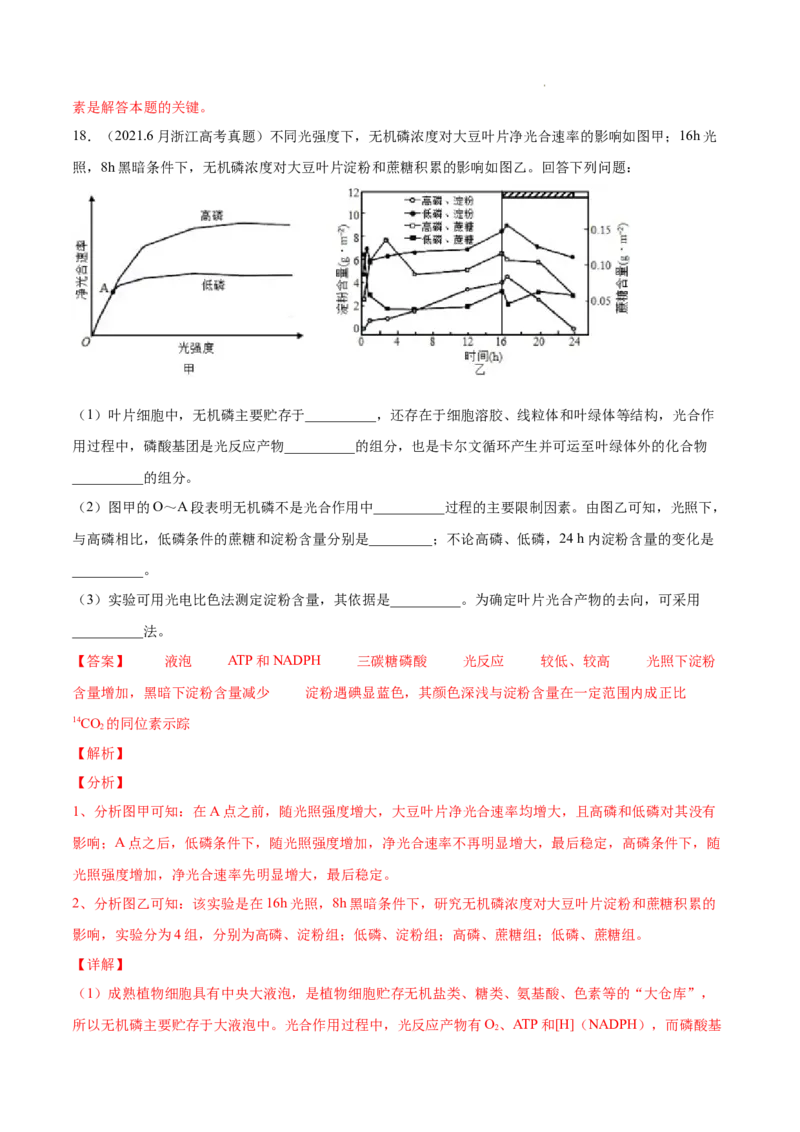 专题03光合作用和细胞呼吸-三年（2020-2022）高考真题生物分项汇编（全国通用）（解析版）_高考真题分类汇编(2012-2022)生物_高考真题分项汇编(2020-2022)生物