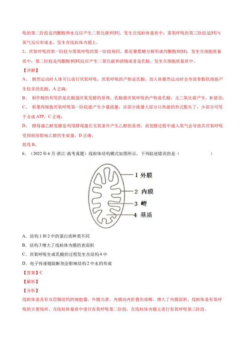 专题03光合作用和细胞呼吸-三年（2020-2022）高考真题生物分项汇编（全国通用）（解析版）_高考真题分类汇编(2012-2022)生物_高考真题分项汇编(2020-2022)生物