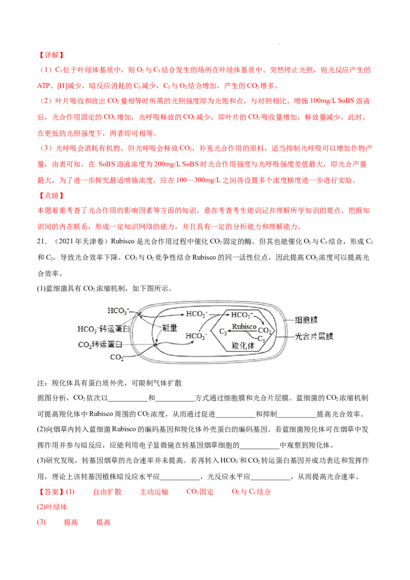专题03光合作用和细胞呼吸-三年（2020-2022）高考真题生物分项汇编（全国通用）（解析版）_高考真题分类汇编(2012-2022)生物_高考真题分项汇编(2020-2022)生物