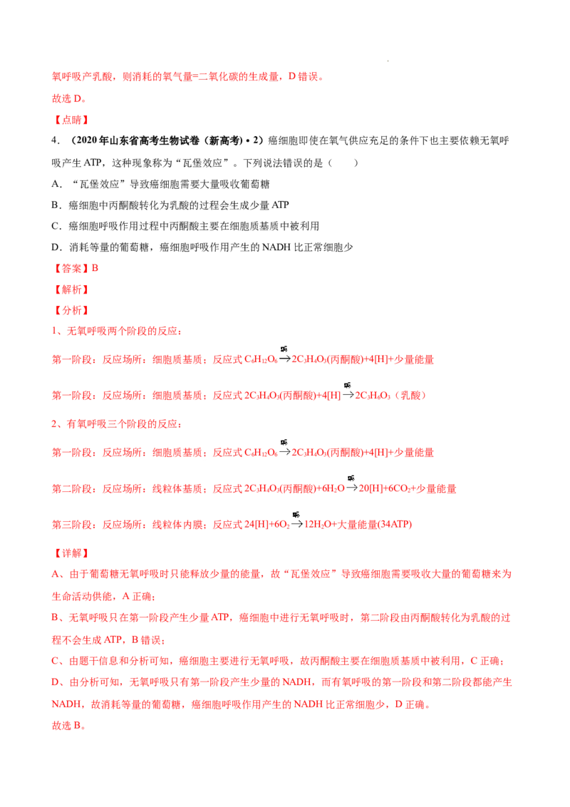 专题03光合作用和细胞呼吸-三年（2020-2022）高考真题生物分项汇编（全国通用）（解析版）_高考真题分类汇编(2012-2022)生物_高考真题分项汇编(2020-2022)生物