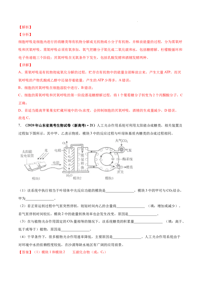 专题03光合作用和细胞呼吸-三年（2020-2022）高考真题生物分项汇编（全国通用）（解析版）_高考真题分类汇编(2012-2022)生物_高考真题分项汇编(2020-2022)生物