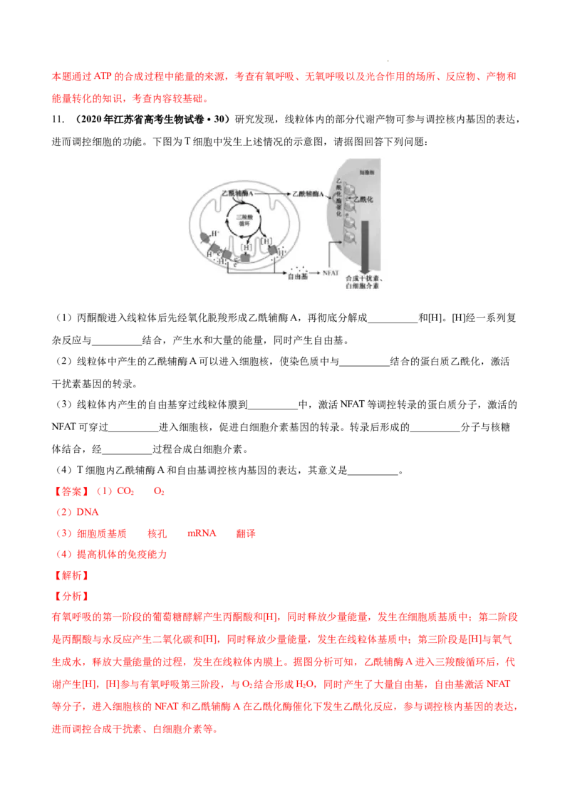 专题03光合作用和细胞呼吸-三年（2020-2022）高考真题生物分项汇编（全国通用）（解析版）_高考真题分类汇编(2012-2022)生物_高考真题分项汇编(2020-2022)生物
