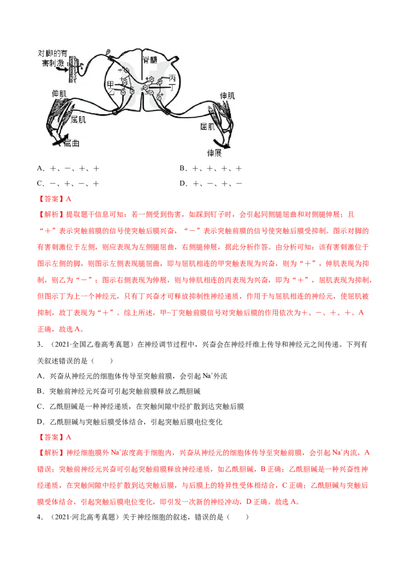 专题08神经调节与体液调节-十年（2012-2021）高考生物真题分项汇编（全国通用）（解析版）_高考真题分类汇编(2012-2022)生物_高考真题分项汇编(2012-2021)生物