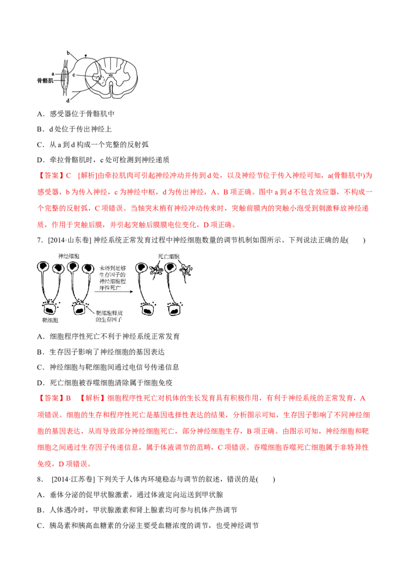 专题08神经调节与体液调节-十年（2012-2021）高考生物真题分项汇编（全国通用）（解析版）_高考真题分类汇编(2012-2022)生物_高考真题分项汇编(2012-2021)生物