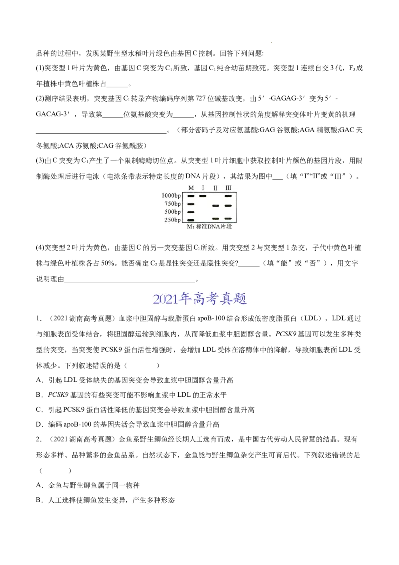 专题08生物的变异和进化-三年（2020-2022）高考真题生物分项汇编（全国通用）（原卷版）_高考真题分类汇编(2012-2022)生物_高考真题分项汇编(2020-2022)生物