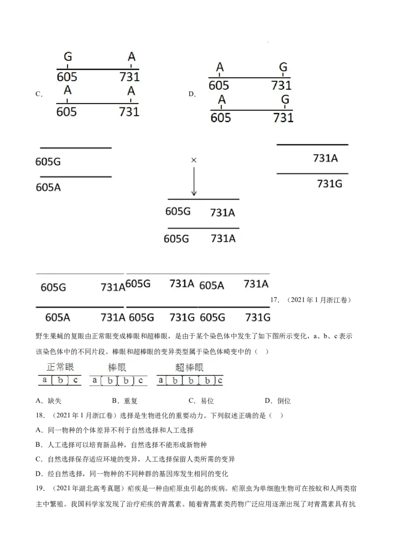 专题08生物的变异和进化-三年（2020-2022）高考真题生物分项汇编（全国通用）（原卷版）_高考真题分类汇编(2012-2022)生物_高考真题分项汇编(2020-2022)生物