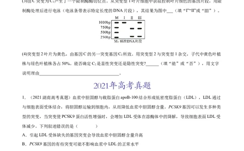 专题08生物的变异和进化-三年（2020-2022）高考真题生物分项汇编（全国通用）（原卷版）_高考真题分类汇编(2012-2022)生物_高考真题分项汇编(2020-2022)生物