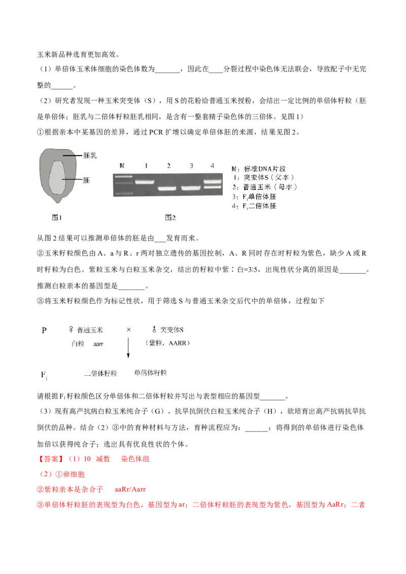 专题17遗传的基本定律综合-十年（2012-2021）高考生物真题分项汇编（全国通用）（解析版）_高考真题分类汇编(2012-2022)生物_高考真题分项汇编(2012-2021)生物