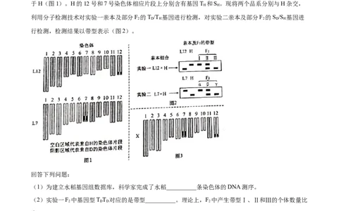 专题17遗传的基本定律综合-十年（2012-2021）高考生物真题分项汇编（全国通用）（解析版）_高考真题分类汇编(2012-2022)生物_高考真题分项汇编(2012-2021)生物
