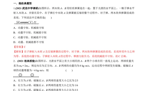 专题9.2动量守恒定律的应用及实验练解析版_新高考复习资料_2022年新高考复习资料_2022年高考物理一轮复习讲练测（新教材新高考）