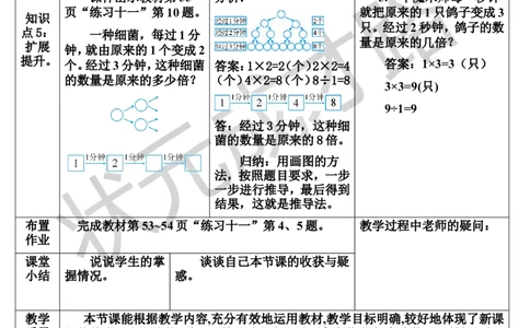 练习课_1-6年级上册_数学3年级上册教学资源包（新教材2025秋）_旧教材课件_导学案新版_5倍的认识