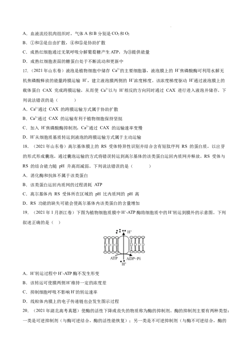 专题02细胞的物质运输、酶与ATP-三年（2020-2022）高考真题生物分项汇编（全国通用）（原卷版）_高考真题分类汇编(2012-2022)生物_高考真题分项汇编(2020-2022)生物