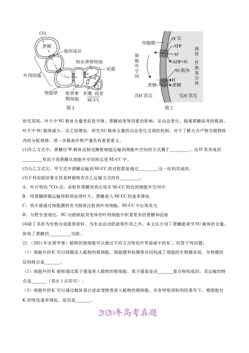 专题02细胞的物质运输、酶与ATP-三年（2020-2022）高考真题生物分项汇编（全国通用）（原卷版）_高考真题分类汇编(2012-2022)生物_高考真题分项汇编(2020-2022)生物