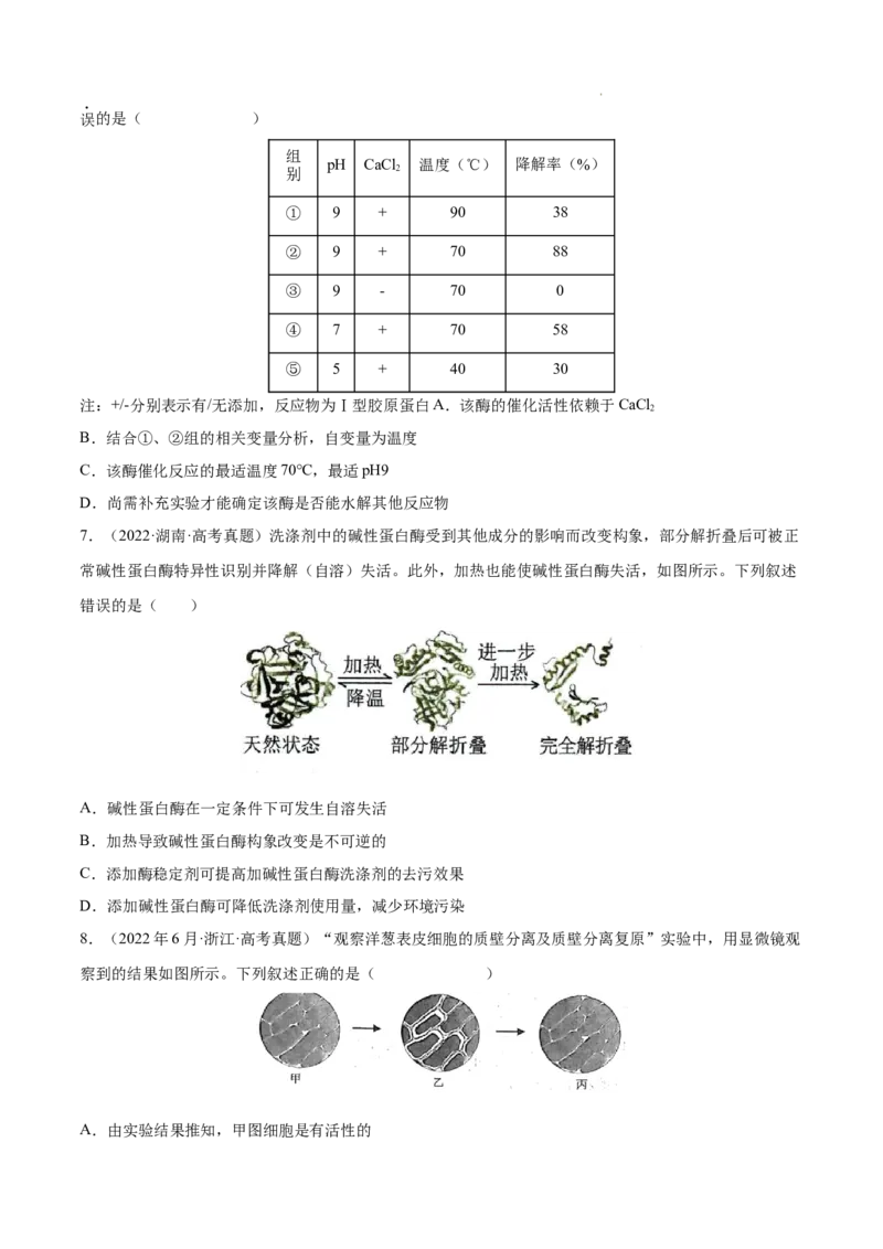 专题02细胞的物质运输、酶与ATP-三年（2020-2022）高考真题生物分项汇编（全国通用）（原卷版）_高考真题分类汇编(2012-2022)生物_高考真题分项汇编(2020-2022)生物