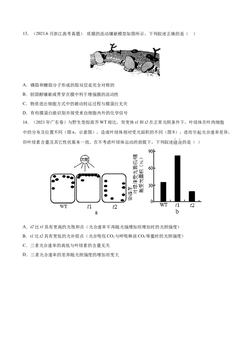 专题02细胞的物质运输、酶与ATP-三年（2020-2022）高考真题生物分项汇编（全国通用）（原卷版）_高考真题分类汇编(2012-2022)生物_高考真题分项汇编(2020-2022)生物