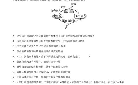 专题01细胞的分子组成以及结构和功能-三年（2020-2022）高考真题生物分项汇编（全国通用）（原卷版）_高考真题分类汇编(2012-2022)生物_高考真题分项汇编(2020-2022)生物