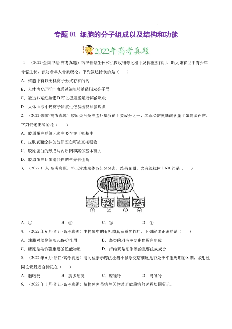 专题01细胞的分子组成以及结构和功能-三年（2020-2022）高考真题生物分项汇编（全国通用）（原卷版）_高考真题分类汇编(2012-2022)生物_高考真题分项汇编(2020-2022)生物