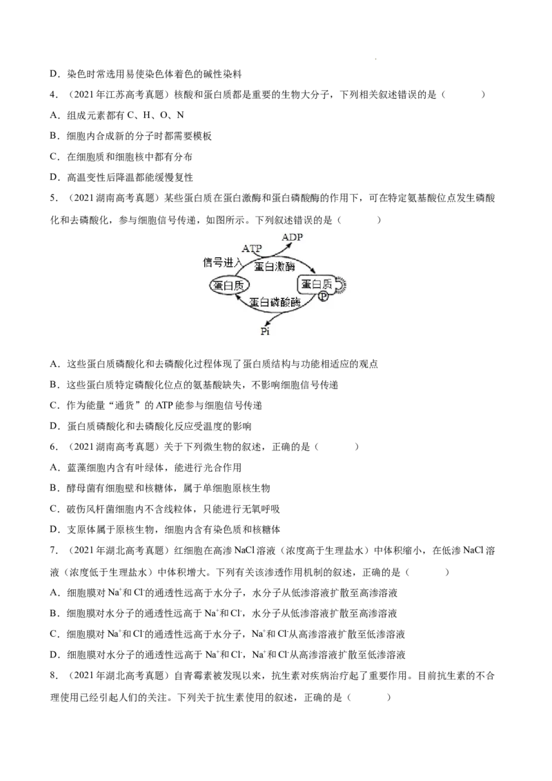 专题01细胞的分子组成以及结构和功能-三年（2020-2022）高考真题生物分项汇编（全国通用）（原卷版）_高考真题分类汇编(2012-2022)生物_高考真题分项汇编(2020-2022)生物