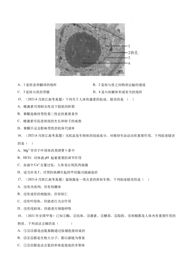 专题01细胞的分子组成以及结构和功能-三年（2020-2022）高考真题生物分项汇编（全国通用）（原卷版）_高考真题分类汇编(2012-2022)生物_高考真题分项汇编(2020-2022)生物