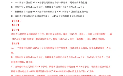 专题05遗传的分子基础-三年（2020-2022）高考真题生物分项汇编（全国通用）（解析版）_高考真题分类汇编(2012-2022)生物_高考真题分项汇编(2020-2022)生物