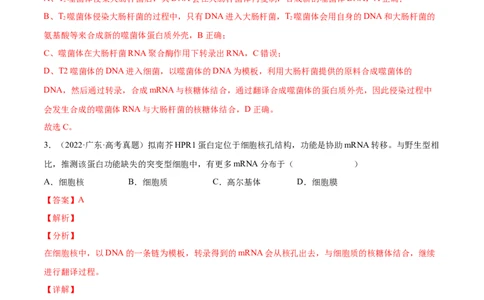 专题05遗传的分子基础-三年（2020-2022）高考真题生物分项汇编（全国通用）（解析版）_高考真题分类汇编(2012-2022)生物_高考真题分项汇编(2020-2022)生物