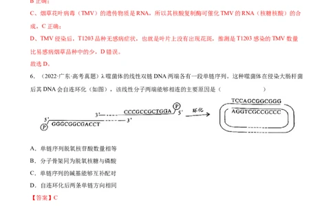 专题05遗传的分子基础-三年（2020-2022）高考真题生物分项汇编（全国通用）（解析版）_高考真题分类汇编(2012-2022)生物_高考真题分项汇编(2020-2022)生物