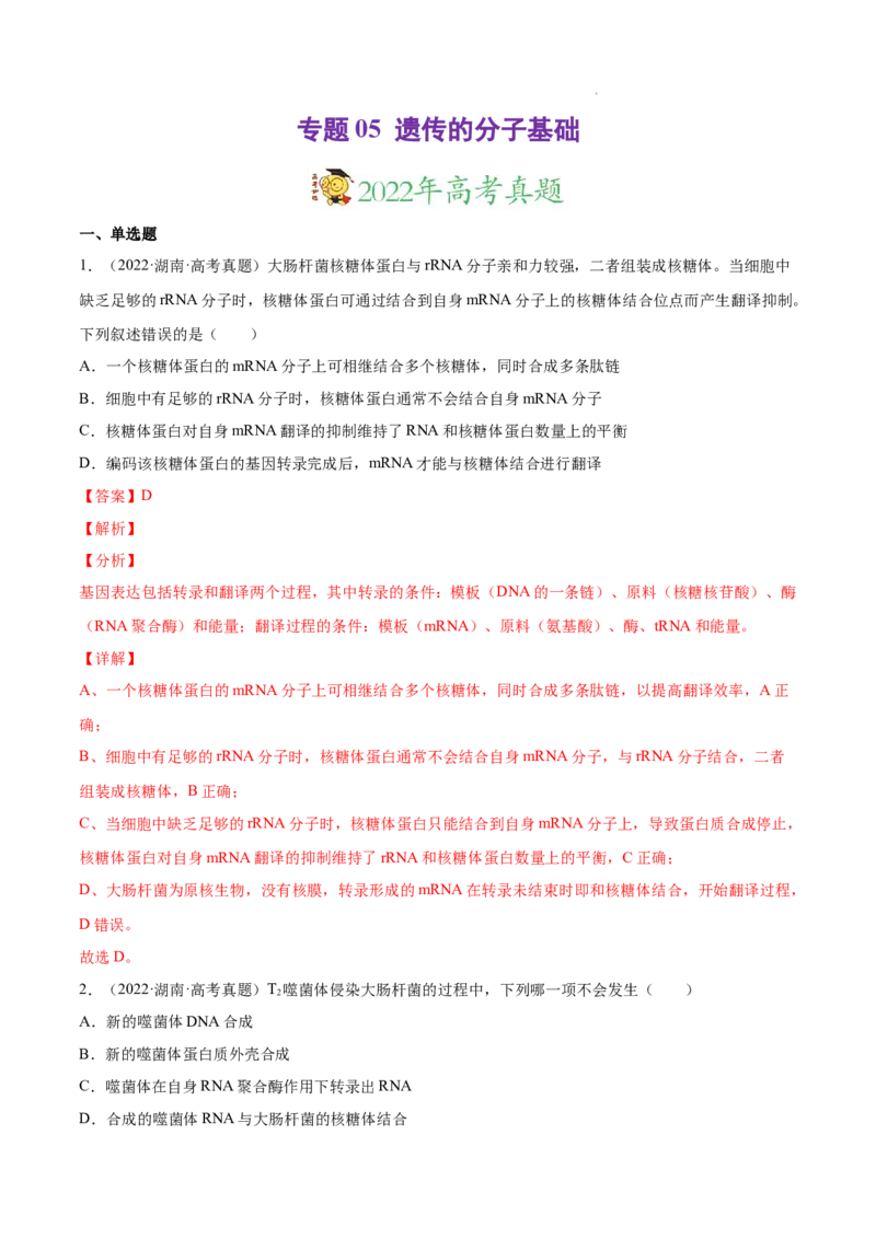 专题05遗传的分子基础-三年（2020-2022）高考真题生物分项汇编（全国通用）（解析版）_高考真题分类汇编(2012-2022)生物_高考真题分项汇编(2020-2022)生物