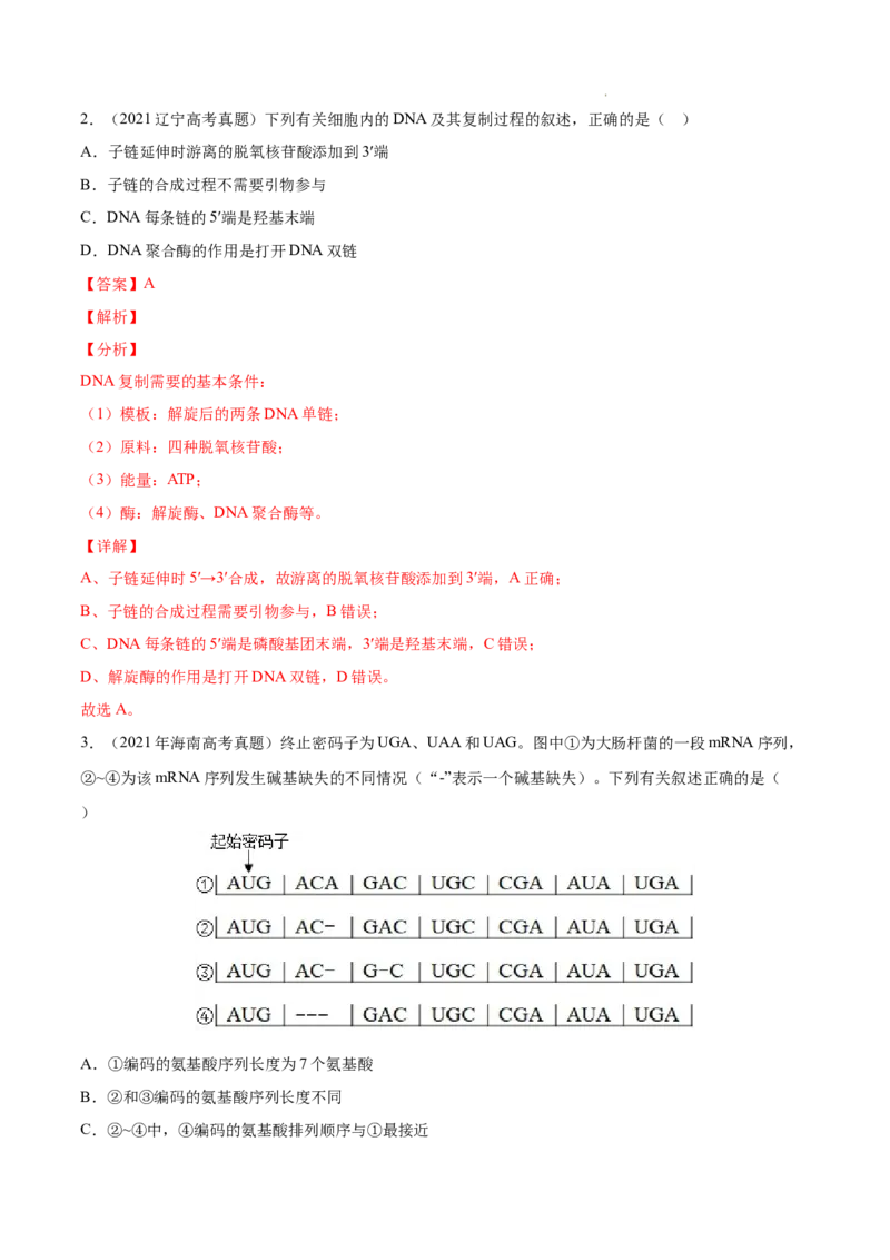 专题05遗传的分子基础-三年（2020-2022）高考真题生物分项汇编（全国通用）（解析版）_高考真题分类汇编(2012-2022)生物_高考真题分项汇编(2020-2022)生物