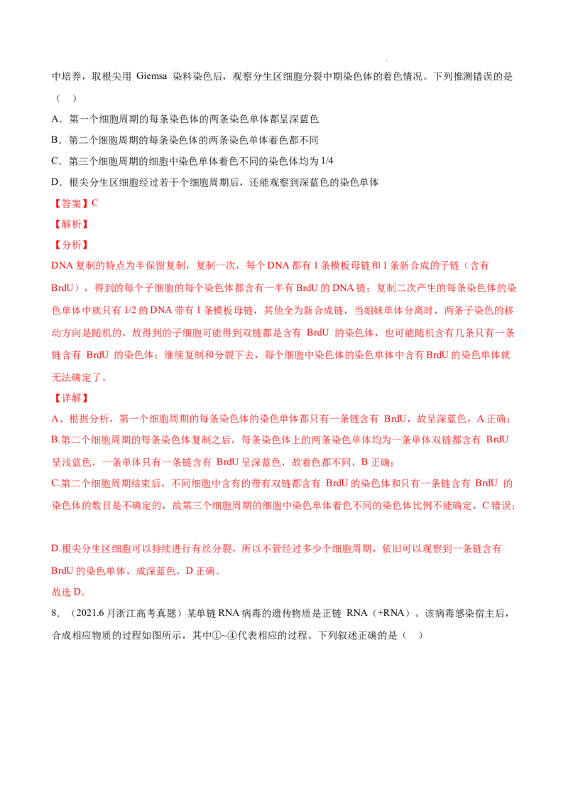 专题05遗传的分子基础-三年（2020-2022）高考真题生物分项汇编（全国通用）（解析版）_高考真题分类汇编(2012-2022)生物_高考真题分项汇编(2020-2022)生物