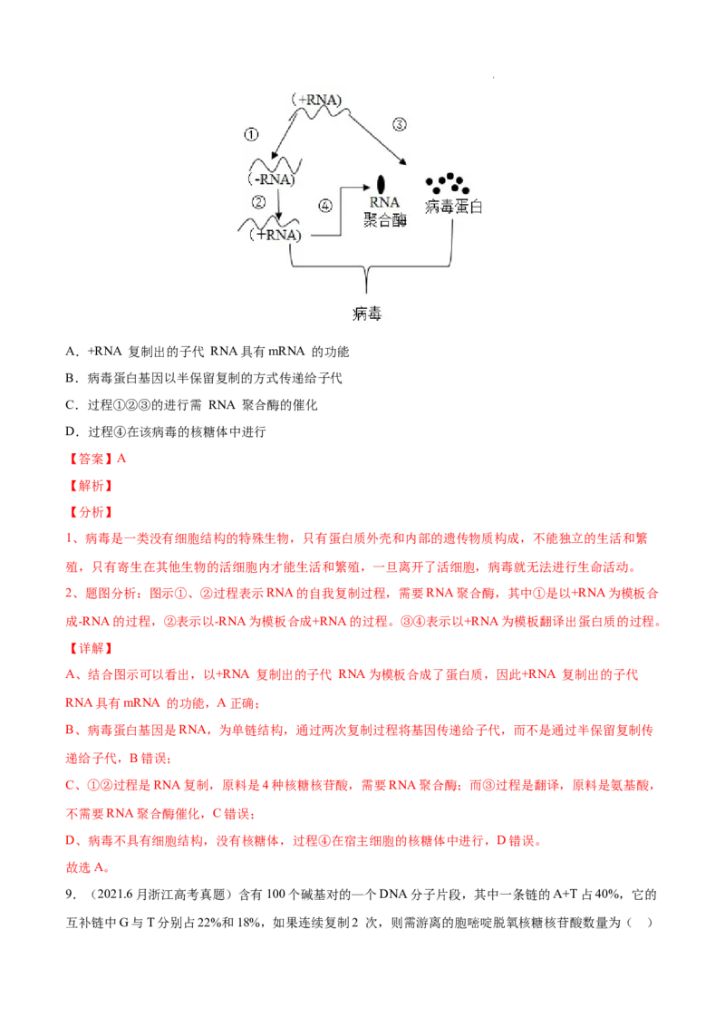 专题05遗传的分子基础-三年（2020-2022）高考真题生物分项汇编（全国通用）（解析版）_高考真题分类汇编(2012-2022)生物_高考真题分项汇编(2020-2022)生物