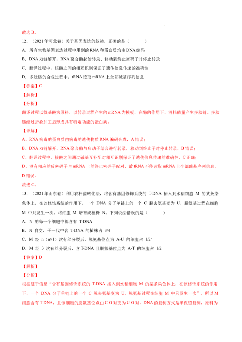 专题05遗传的分子基础-三年（2020-2022）高考真题生物分项汇编（全国通用）（解析版）_高考真题分类汇编(2012-2022)生物_高考真题分项汇编(2020-2022)生物