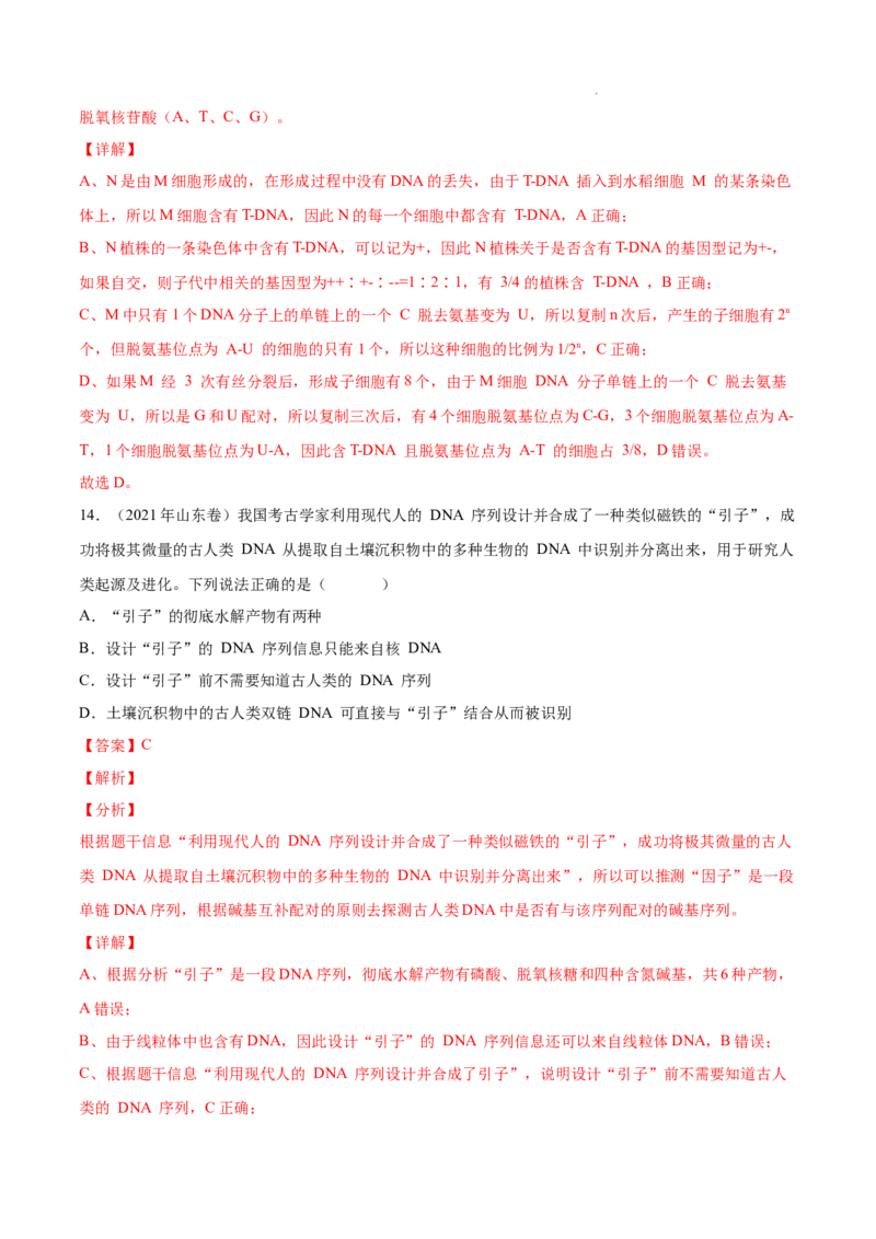专题05遗传的分子基础-三年（2020-2022）高考真题生物分项汇编（全国通用）（解析版）_高考真题分类汇编(2012-2022)生物_高考真题分项汇编(2020-2022)生物