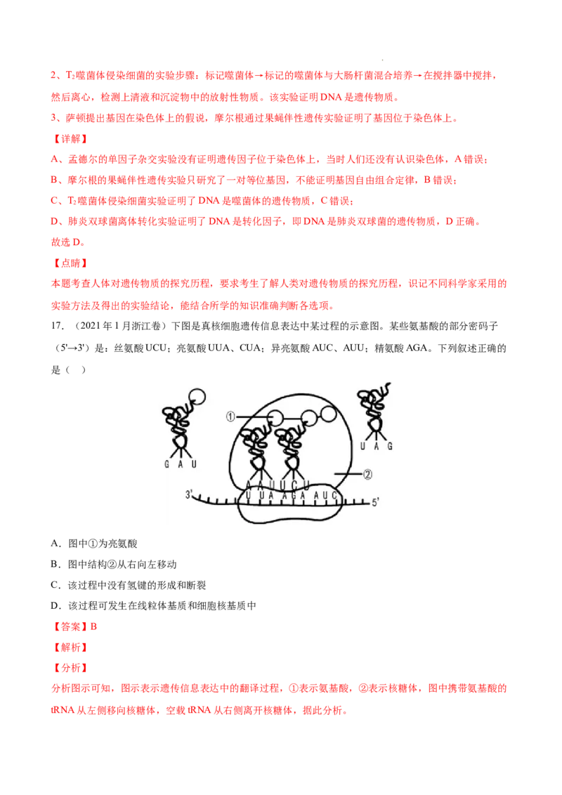 专题05遗传的分子基础-三年（2020-2022）高考真题生物分项汇编（全国通用）（解析版）_高考真题分类汇编(2012-2022)生物_高考真题分项汇编(2020-2022)生物