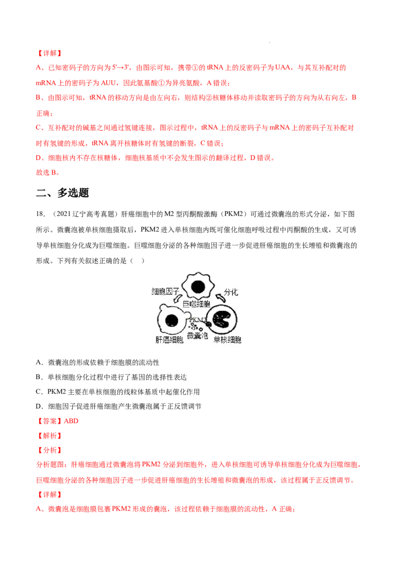 专题05遗传的分子基础-三年（2020-2022）高考真题生物分项汇编（全国通用）（解析版）_高考真题分类汇编(2012-2022)生物_高考真题分项汇编(2020-2022)生物