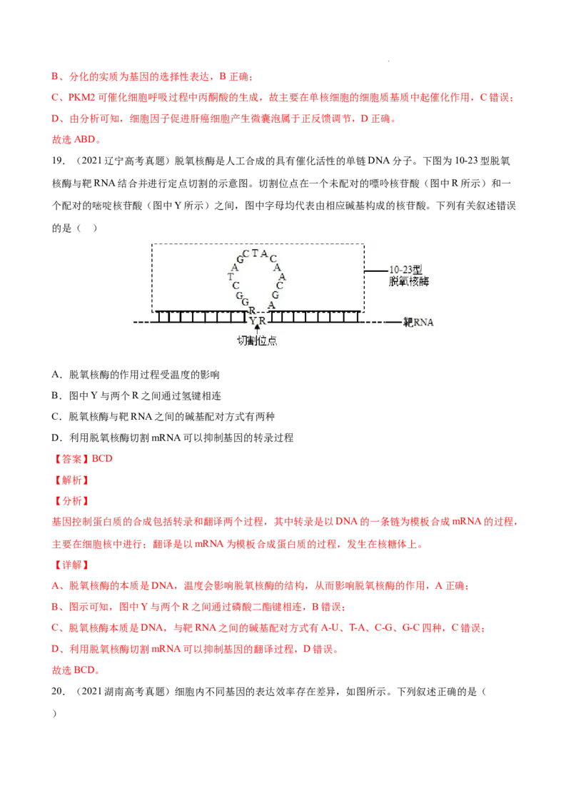 专题05遗传的分子基础-三年（2020-2022）高考真题生物分项汇编（全国通用）（解析版）_高考真题分类汇编(2012-2022)生物_高考真题分项汇编(2020-2022)生物