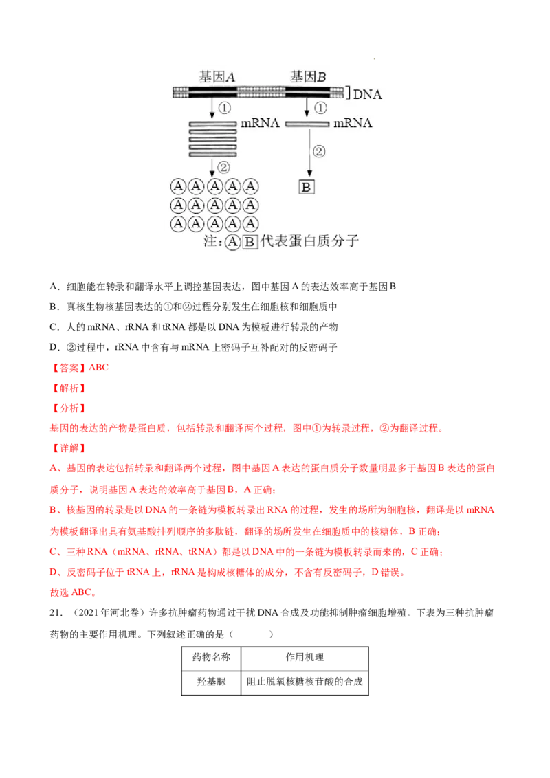 专题05遗传的分子基础-三年（2020-2022）高考真题生物分项汇编（全国通用）（解析版）_高考真题分类汇编(2012-2022)生物_高考真题分项汇编(2020-2022)生物