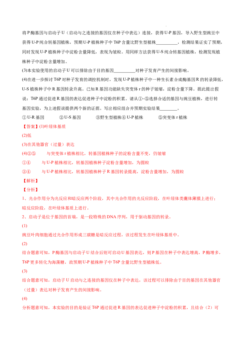 专题05遗传的分子基础-三年（2020-2022）高考真题生物分项汇编（全国通用）（解析版）_高考真题分类汇编(2012-2022)生物_高考真题分项汇编(2020-2022)生物