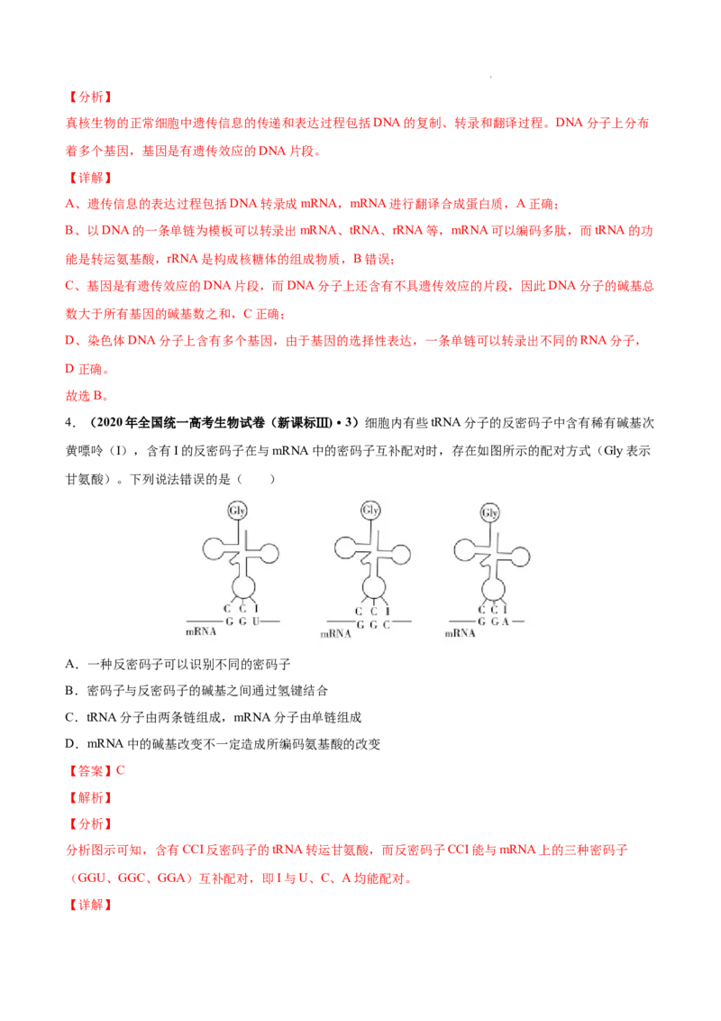 专题05遗传的分子基础-三年（2020-2022）高考真题生物分项汇编（全国通用）（解析版）_高考真题分类汇编(2012-2022)生物_高考真题分项汇编(2020-2022)生物