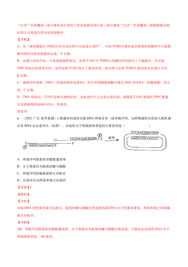 专题05遗传的分子基础-三年（2020-2022）高考真题生物分项汇编（全国通用）（解析版）_高考真题分类汇编(2012-2022)生物_高考真题分项汇编(2020-2022)生物