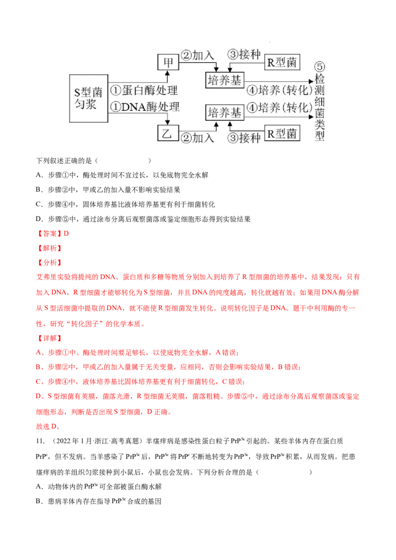 专题05遗传的分子基础-三年（2020-2022）高考真题生物分项汇编（全国通用）（解析版）_高考真题分类汇编(2012-2022)生物_高考真题分项汇编(2020-2022)生物