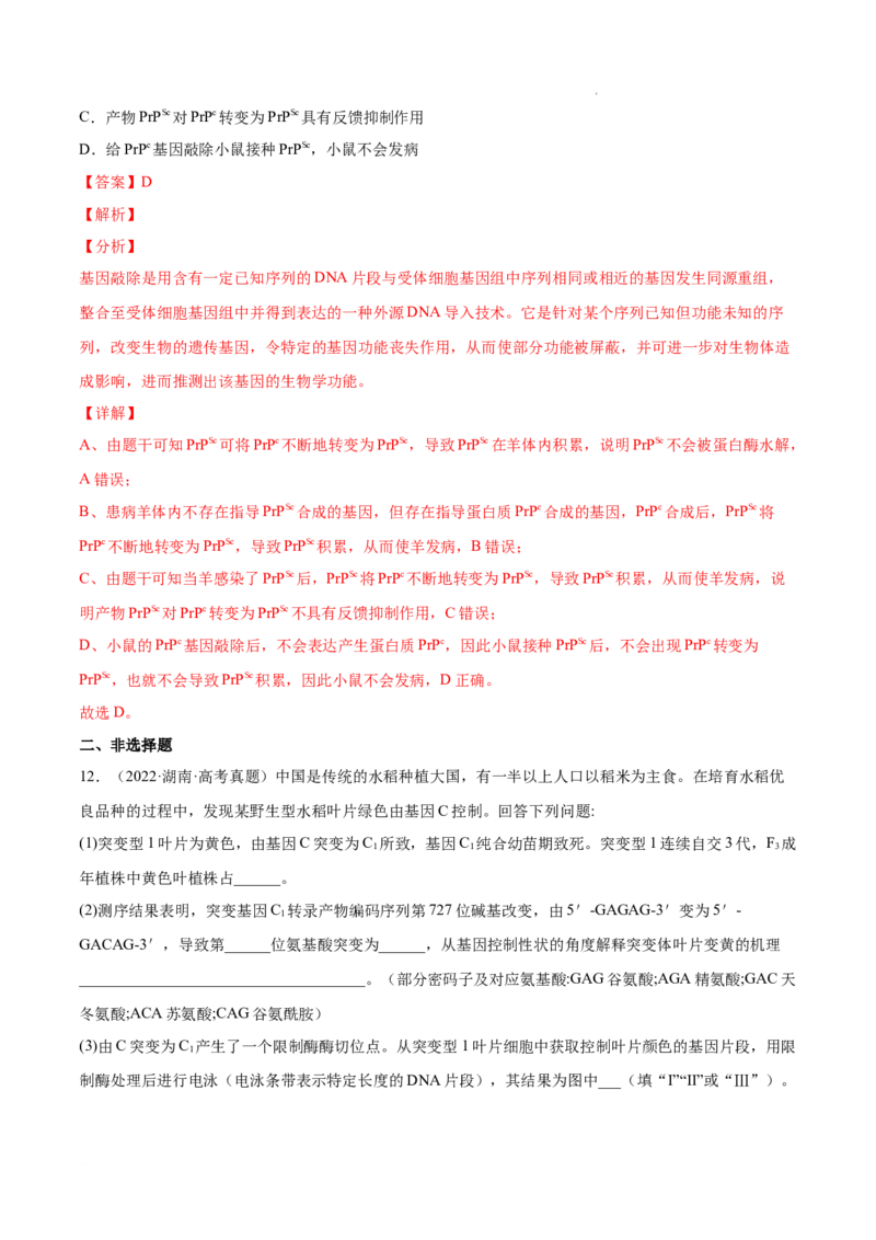 专题05遗传的分子基础-三年（2020-2022）高考真题生物分项汇编（全国通用）（解析版）_高考真题分类汇编(2012-2022)生物_高考真题分项汇编(2020-2022)生物