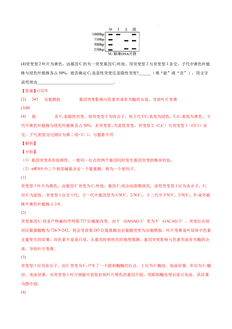 专题05遗传的分子基础-三年（2020-2022）高考真题生物分项汇编（全国通用）（解析版）_高考真题分类汇编(2012-2022)生物_高考真题分项汇编(2020-2022)生物