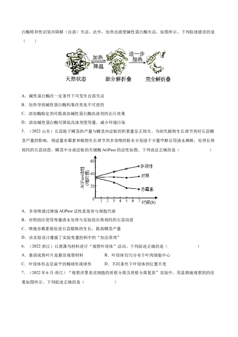 专题15实验与探究-三年（2020-2022）高考真题生物分项汇编（全国通用）（原卷版）_高考真题分类汇编(2012-2022)生物_高考真题分项汇编(2020-2022)生物