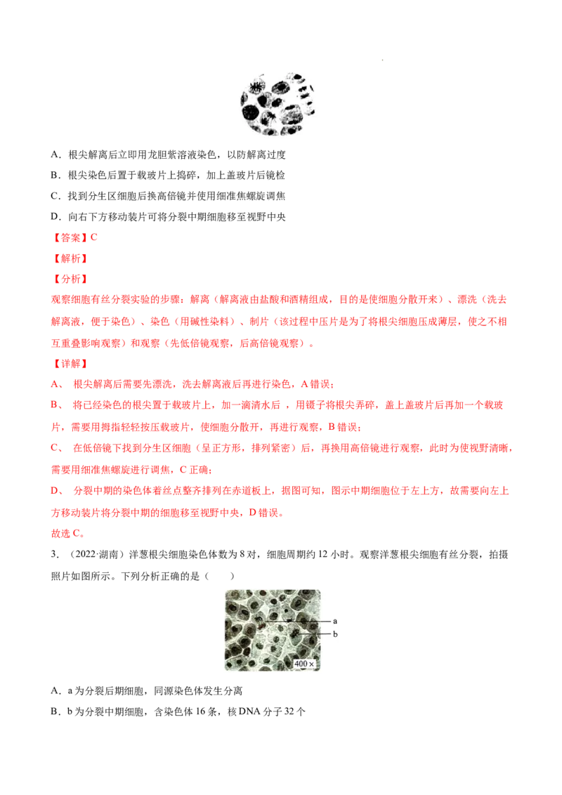 专题15实验与探究-三年（2020-2022）高考真题生物分项汇编（全国通用）（解析版）_高考真题分类汇编(2012-2022)生物_高考真题分项汇编(2020-2022)生物